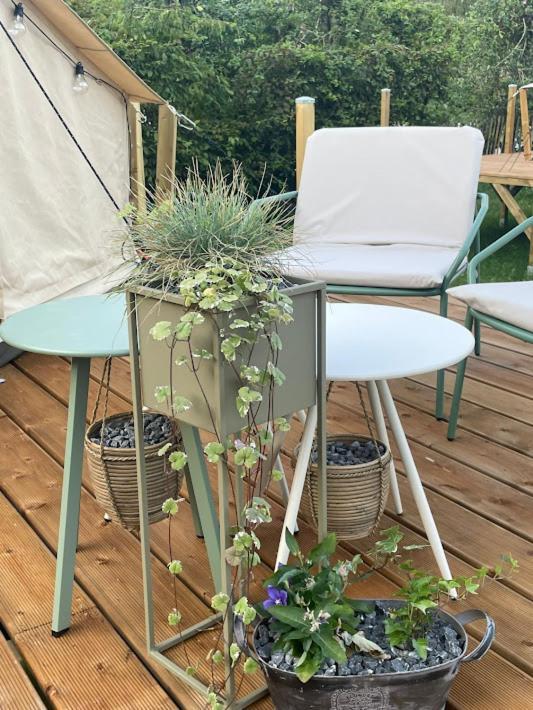 فندق Orchidee Membre المظهر الخارجي الصورة
